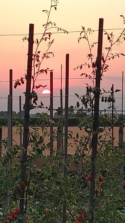 B&B Al Vecio Morer San Donà di Piave Εξωτερικό φωτογραφία