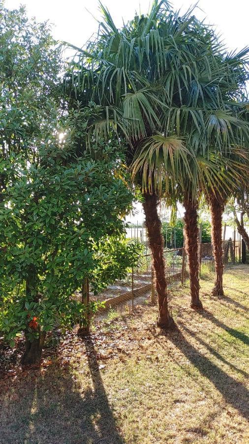 B&B Al Vecio Morer San Donà di Piave Εξωτερικό φωτογραφία