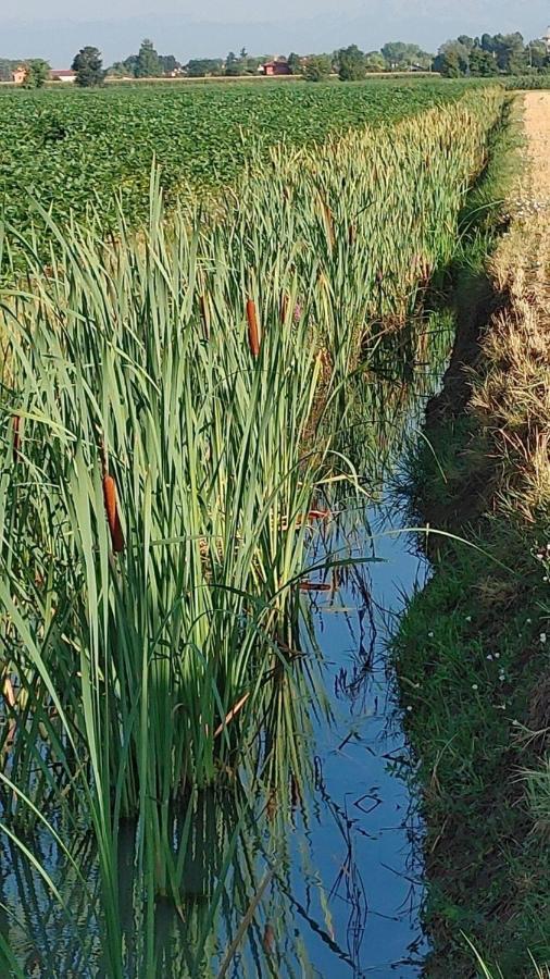 B&B Al Vecio Morer San Donà di Piave Εξωτερικό φωτογραφία